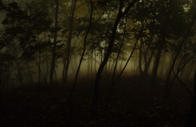 Foto: Yves Bachmann – Marlene Ohlsson agency