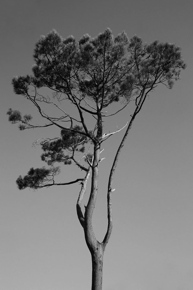 Foto: VULKAN MAGAZINE »Jennifer« — Laura Palm