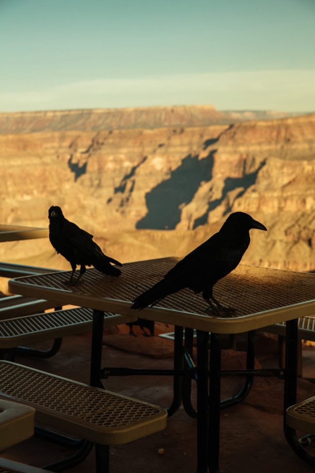 Foto: Yves Bachmann – Marlene Ohlsson agency