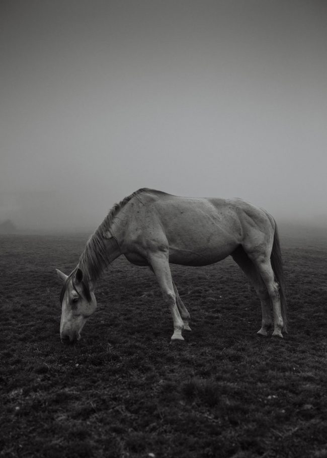 Foto: Yves Bachmann – Marlene Ohlsson agency