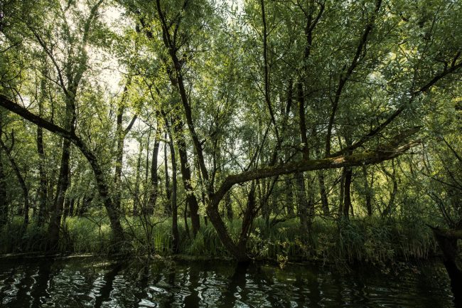 Foto: Yves Bachmann – Marlene Ohlsson agency